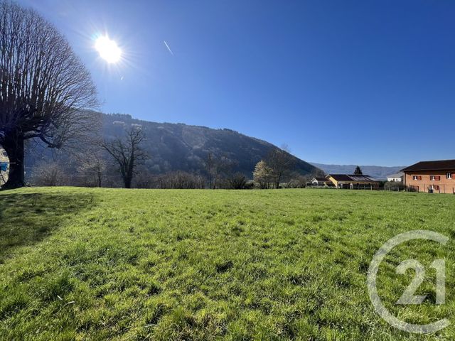 terrain à vendre - 1547.0 m2 - ST SULPICE DES RIVOIRES - 38 - RHONE-ALPES - Century 21 Immobilier Voiron